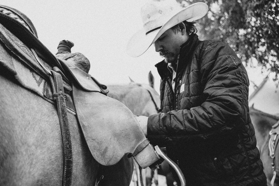 Regenerative Ranching: Restoring Ecosystems as Nature Intended